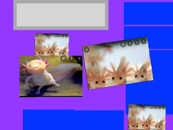 axolotl clicker! 1