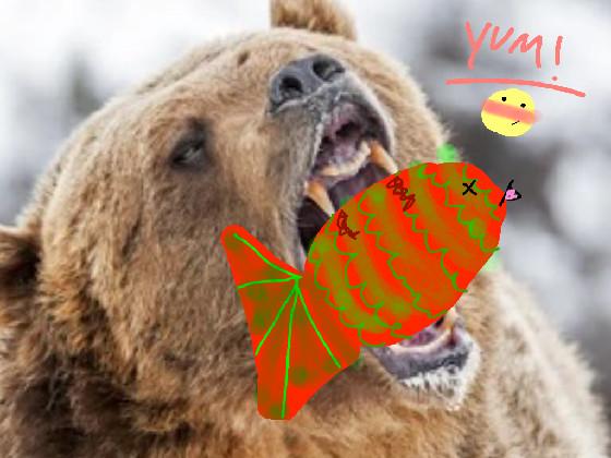 funny bear eating fish