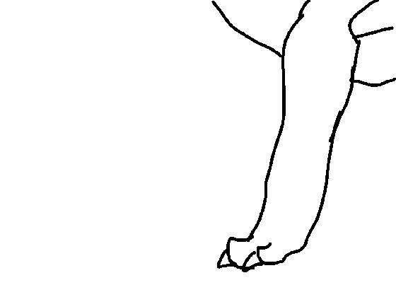 Animation
