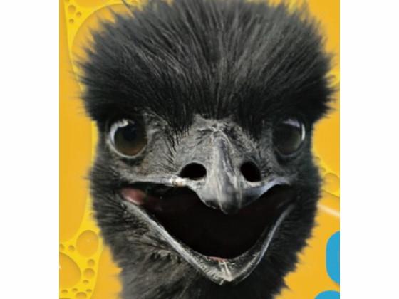 EMU