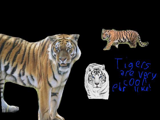 Save the tigers!pls like!