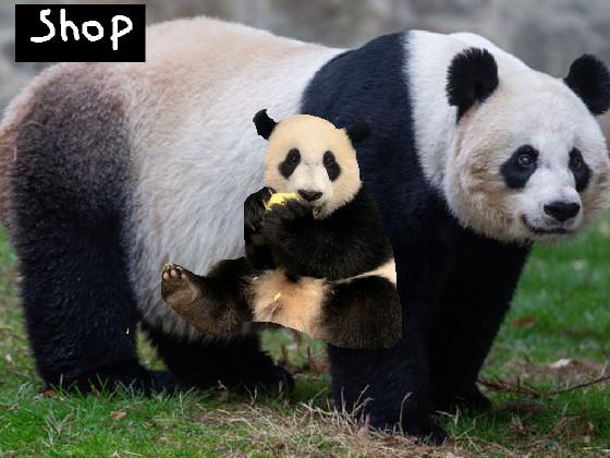 Panda clicker