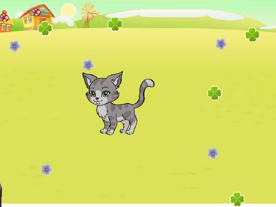 play with fluffy!