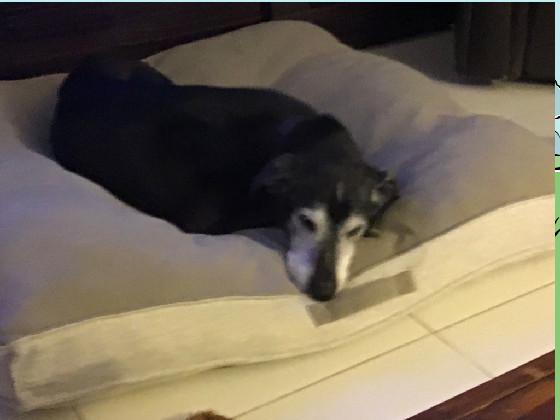 pls click😭😭😭😭