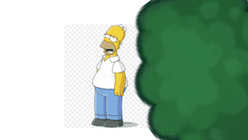 Bush Homer