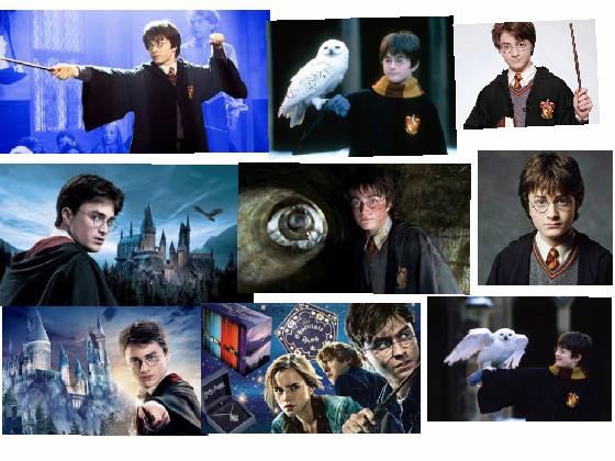 Harry Potter
