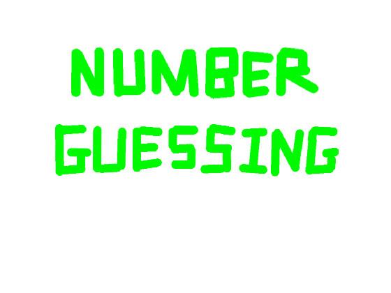 Number Guessing