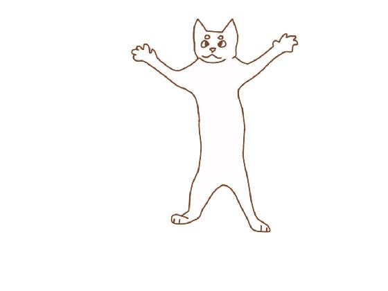 when you get a A+ on a test