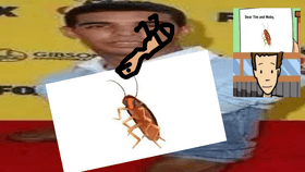 dancing cockroach