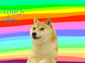 Don't Touch Doge