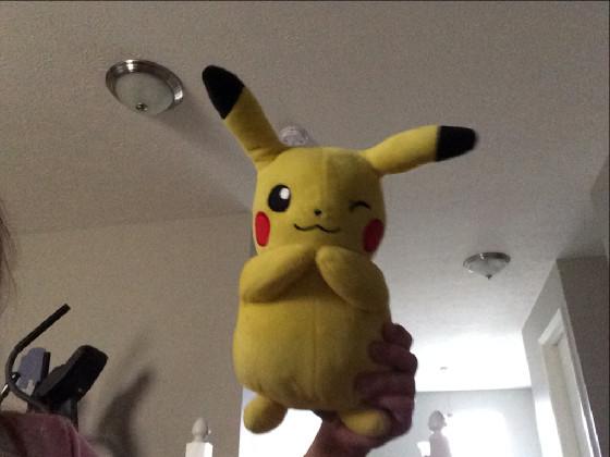 pikachu plush in real life