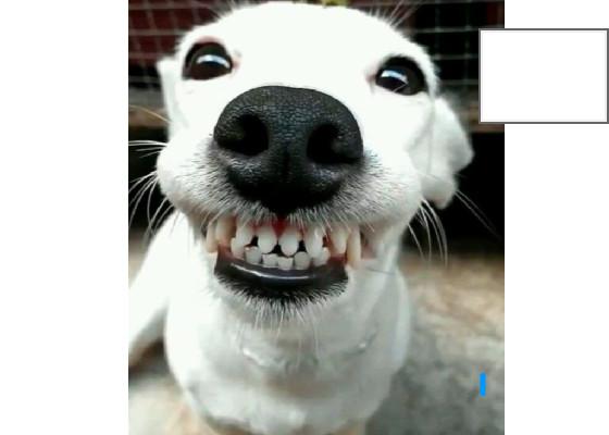 When the imposter is sus  1