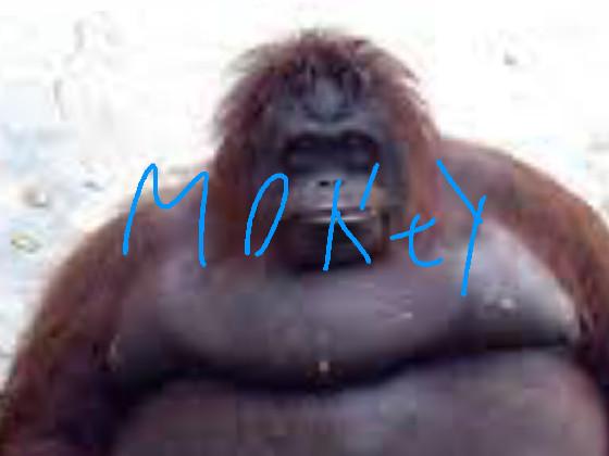 monkey power