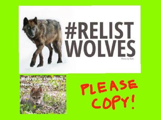 STOP THE HUNT #relistWolves