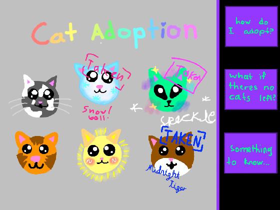 Cat adoption 1 1