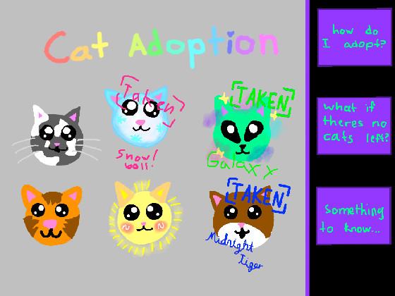Cat Adoption