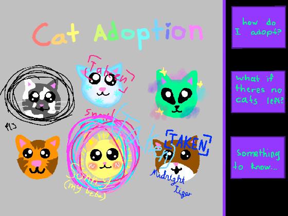 Cat adoption 1 1 1