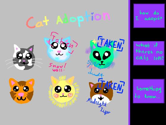 Cat adoption 1 1 1