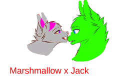 Marshmallow x Jack