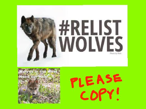 STOP THE HUNT #relistWolves  1