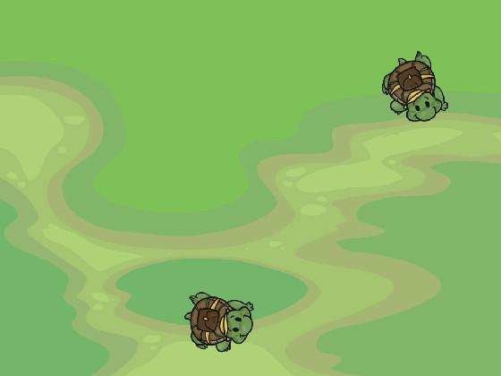 Turtle Trails 1