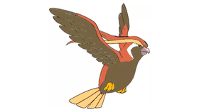 Improved Shiny Pidgeot