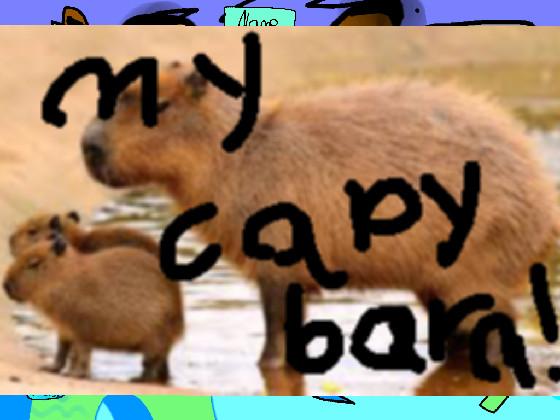 My capybara ❤️ 1