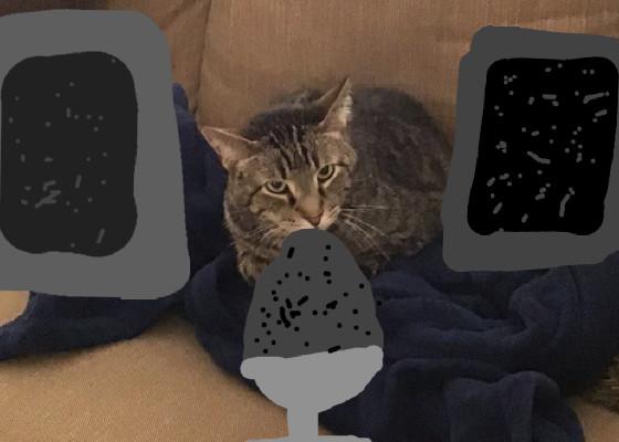 Cat is rick roll