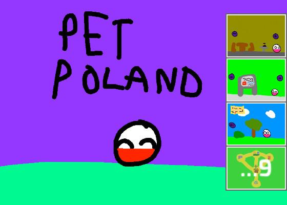 your pet polandball