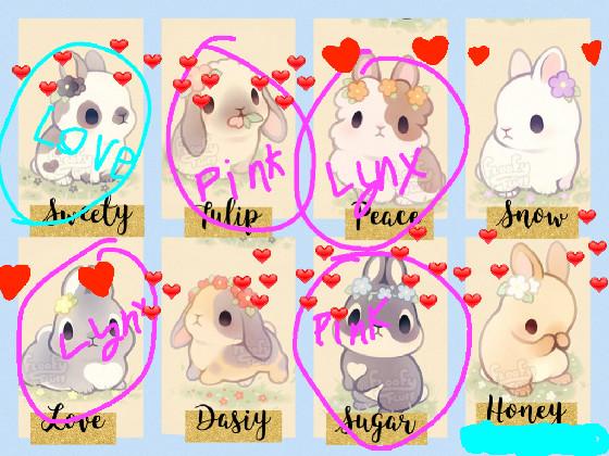 ADOPT A BUNNY! 🐰 🐇👯‍♂️👯👯‍♀️ 1 1