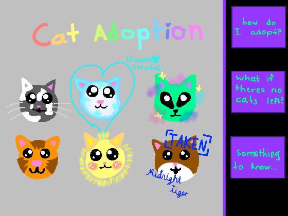 Cat adoption 1