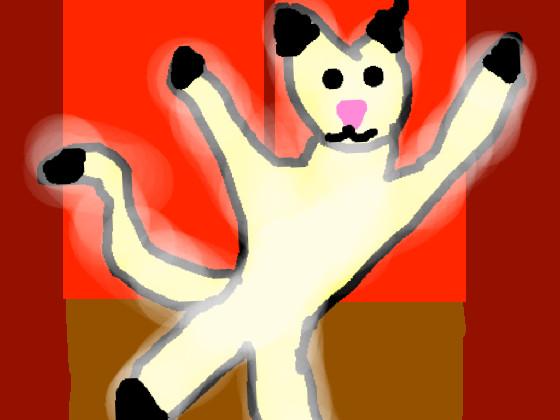 dancing Funny Cat 1