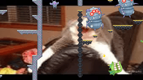 Cat world: HARD CORE