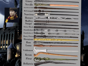 harry potter wands