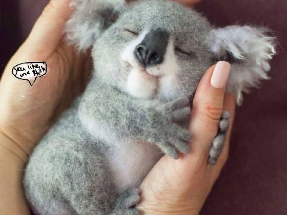 Like if you like koalas 1