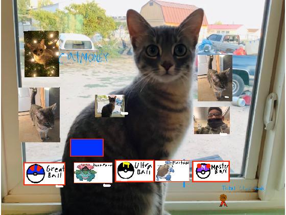 missing cat- copy 1