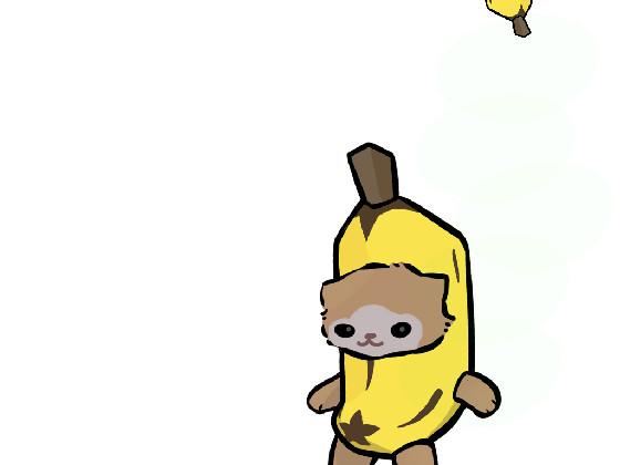 bananananana cat