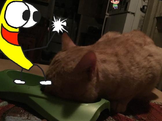 Me BANANA (not full song) 1 1