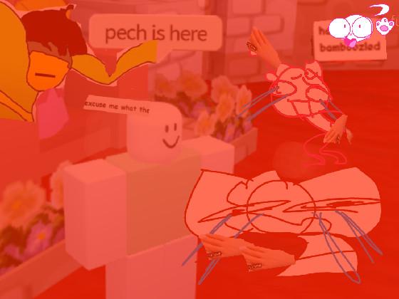 WHAT IS THIS 😂😂😂😂😂😂😂