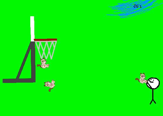 Basketball Cat