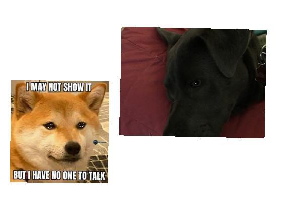 marsmello  song happier 1 1