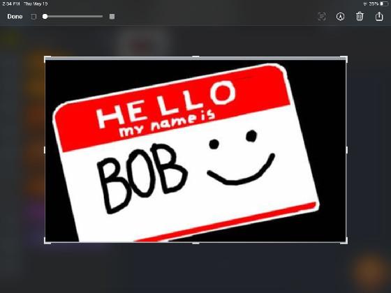 my name  Bob