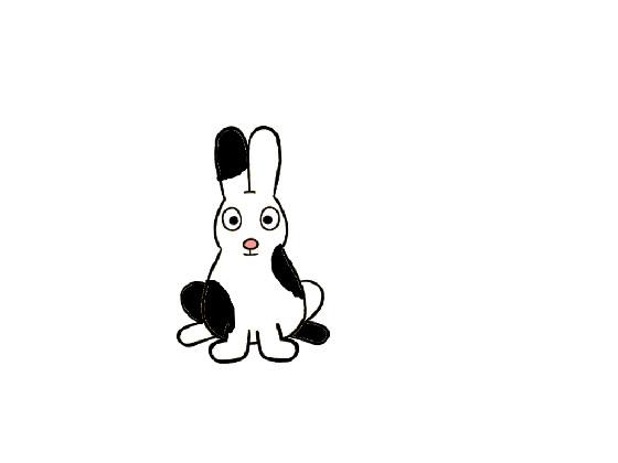 Bunny Spinner