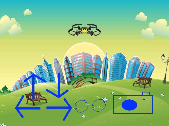 Drone Controller