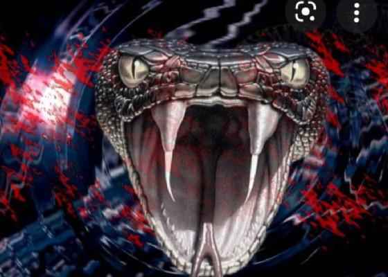 creeper song 1 1 1 1