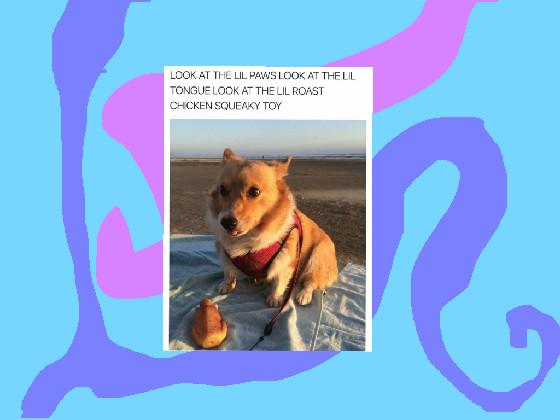 Please Like This Corgi Meme 👍🏻🐾