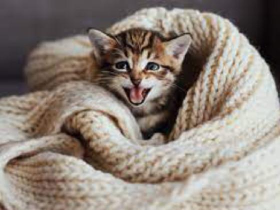 Do you think I’m cute?