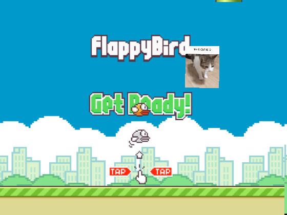 Flappy D cat