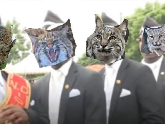 Coffin Dance 1 - copy 1 1 1