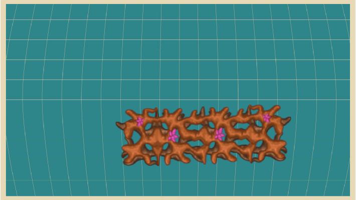 lag test 1